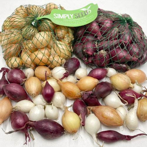 Onions and Shallots